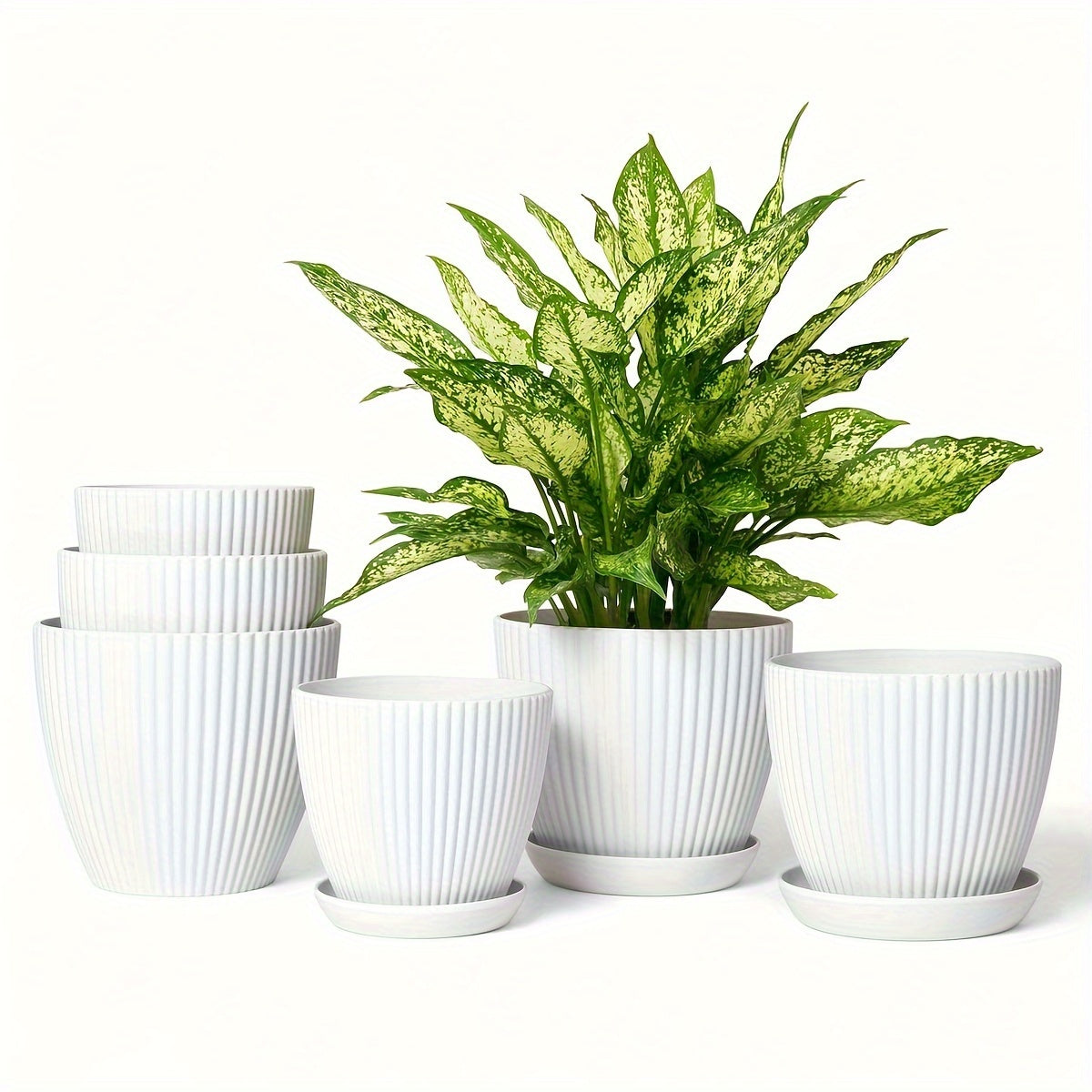 Vaso Moderno Listrado com Prato